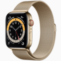 Apple Watch Edition Series 6