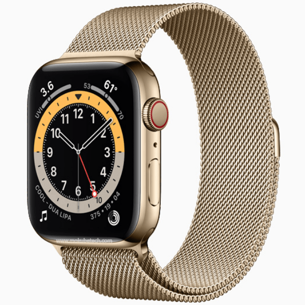 Apple Watch Edition Series 6